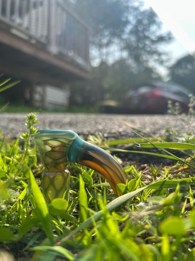 Preview pic of FW Chase Adam’s