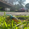 Small image 0
