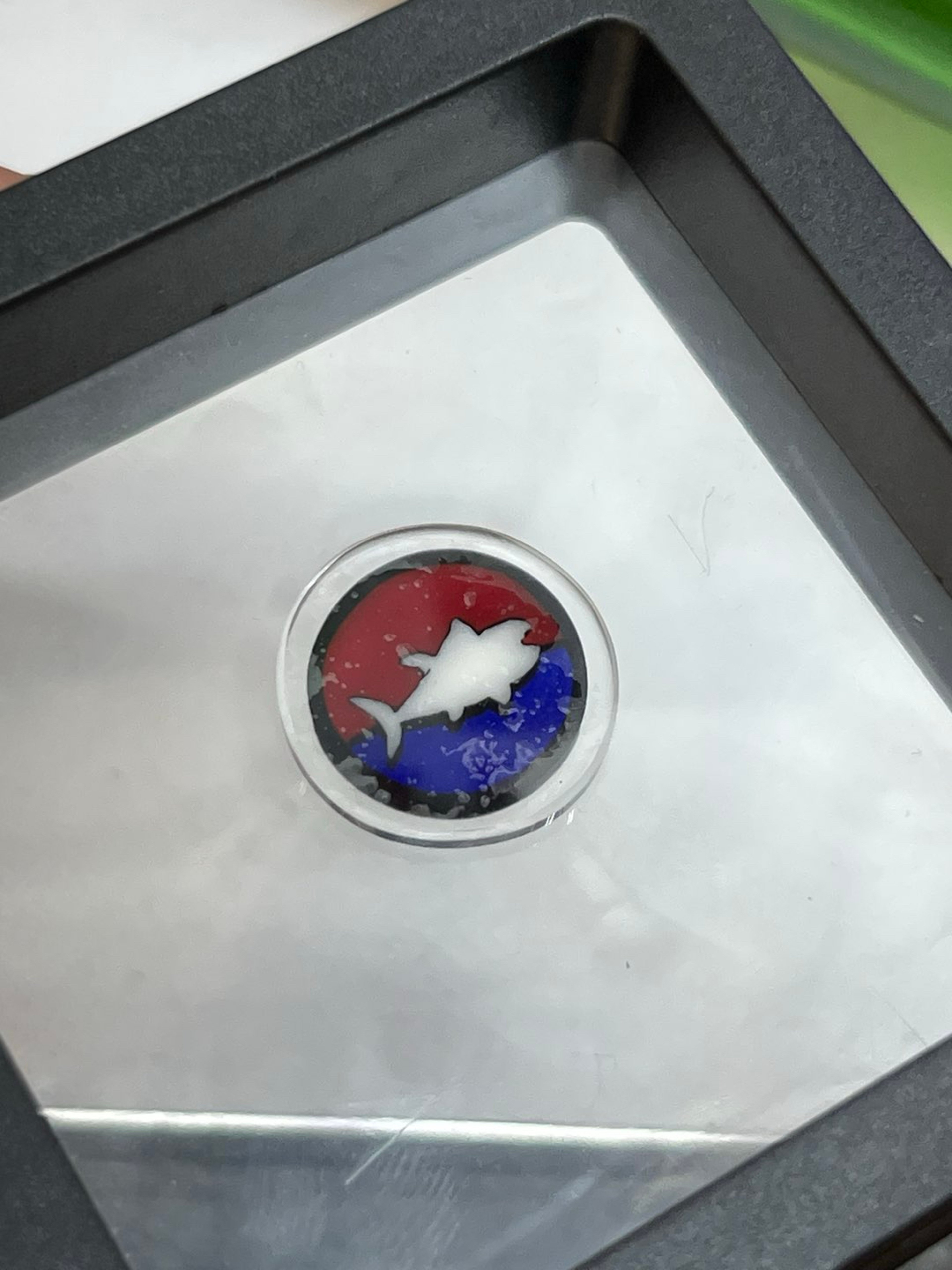 Preview pic of Jerry Kelly Steal Your Fish Millie Coin