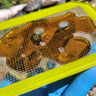 Small image 2