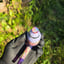 Small image 7