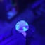 Small image 5