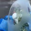 Small image 6