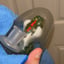 Small image 3