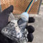 Small image 8