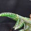 Small image 5