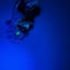 Small image 8