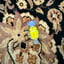 Small image 5