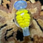 Small image 4