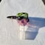 Small image 6