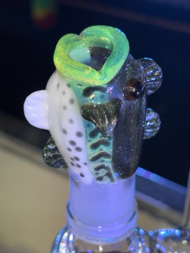 Preview pic of Bass rig by galaxy glass￼