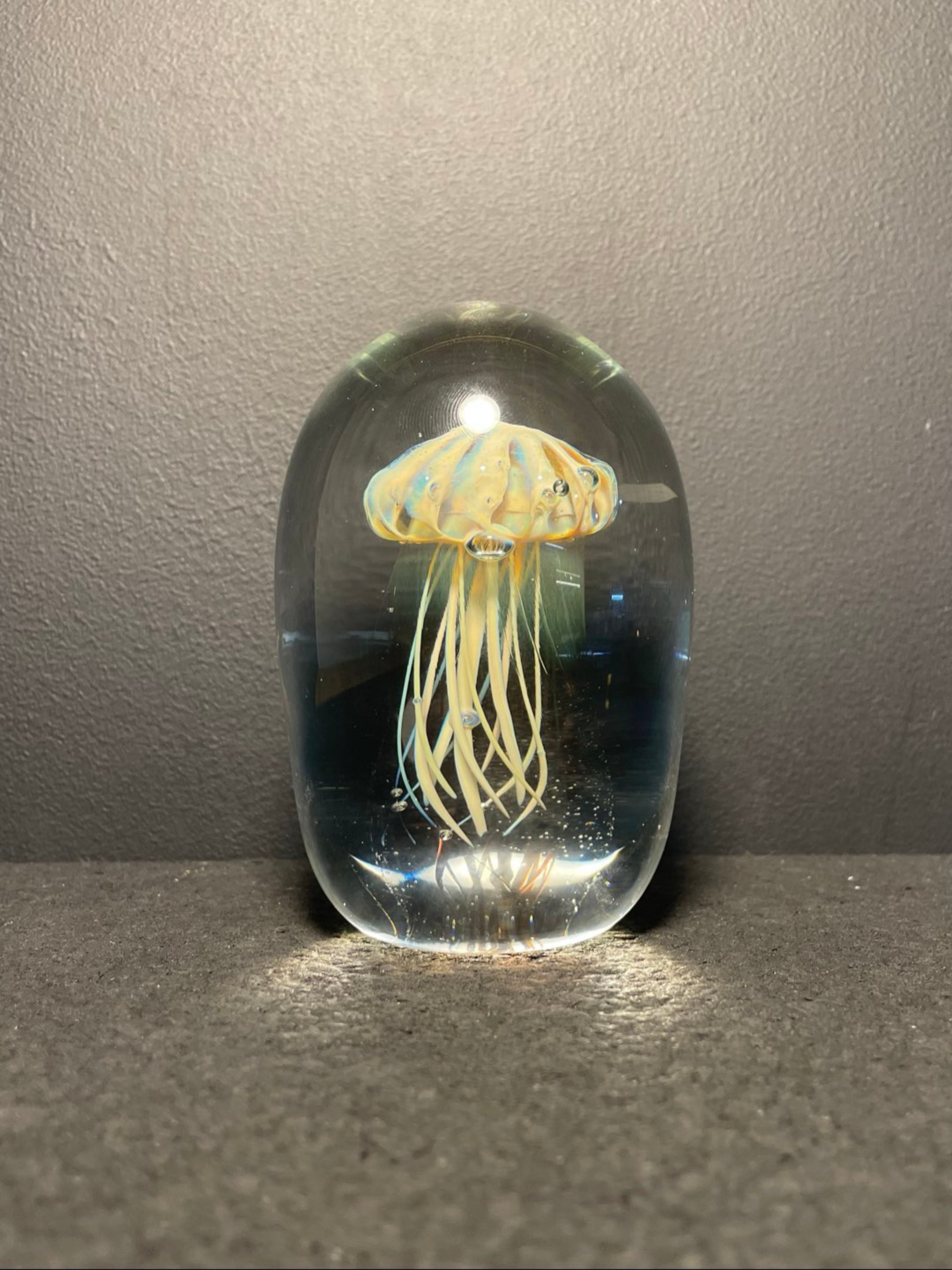 Preview pic of Jellyfish Paperweight Fume 1
