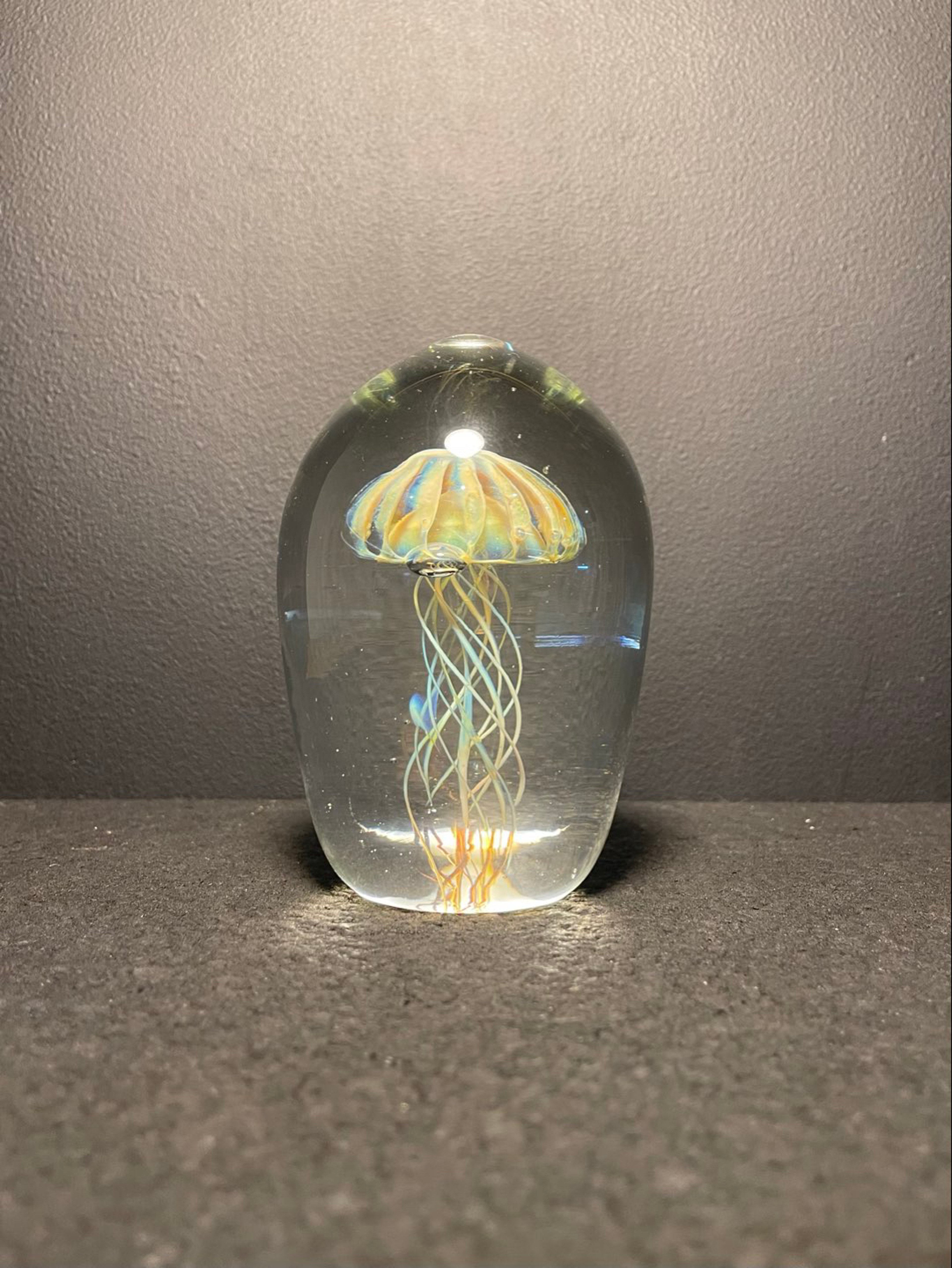 Preview pic of Jellyfish Paperweight Fume 2