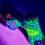 Small image 7