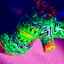 Small image 8