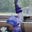 Small image 6