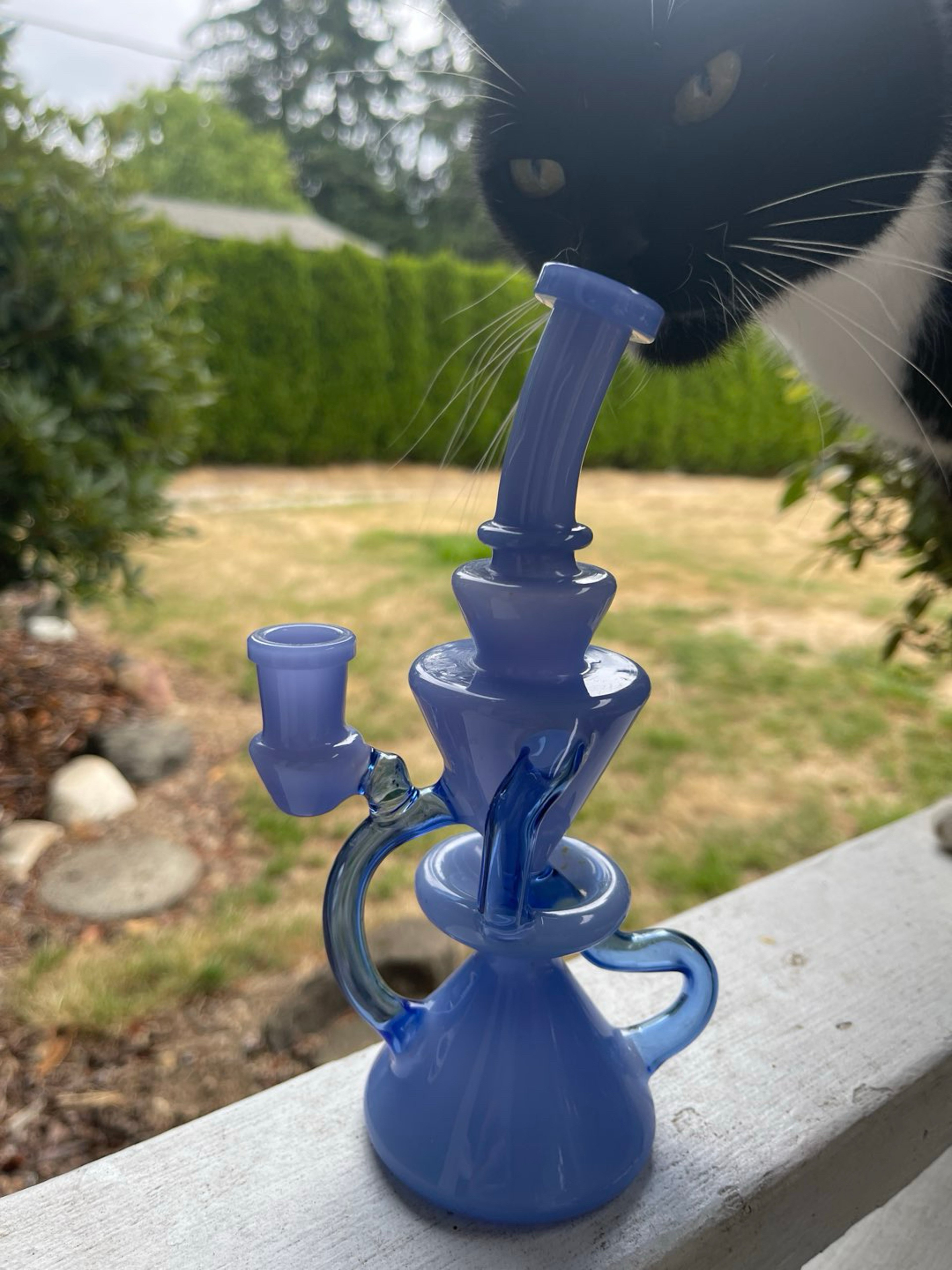 Dab Rig Glass image 0