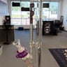 Small image 1