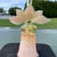 Small image 6