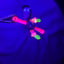 Small image 8