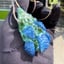 Small image 2