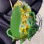 Small image 6