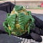 Small image 7