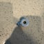 Small image 6