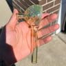 Small image 3