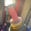 Small image 8