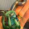 Small image 1