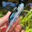 Small image 4