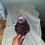 Small image 2