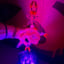 Small image 6
