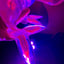 Small image 8