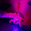 Small image 7