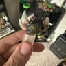 Small image 1