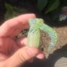 Small image 1