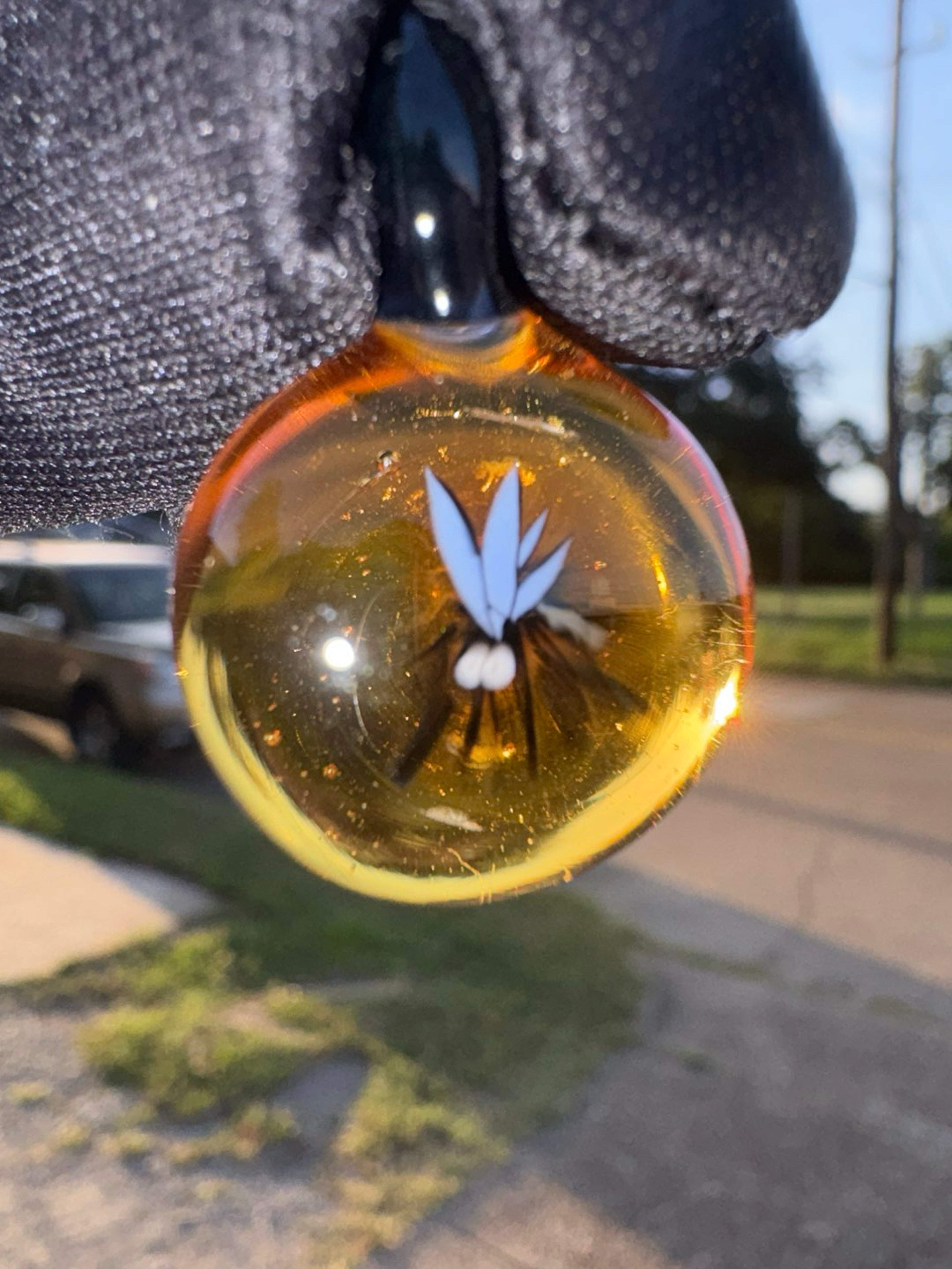 Mosquito trapped in sap pendant image 0