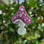 Small image 9