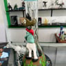 Small image 1