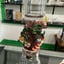 Small image 3