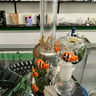 Small image 5