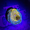 Small image 4