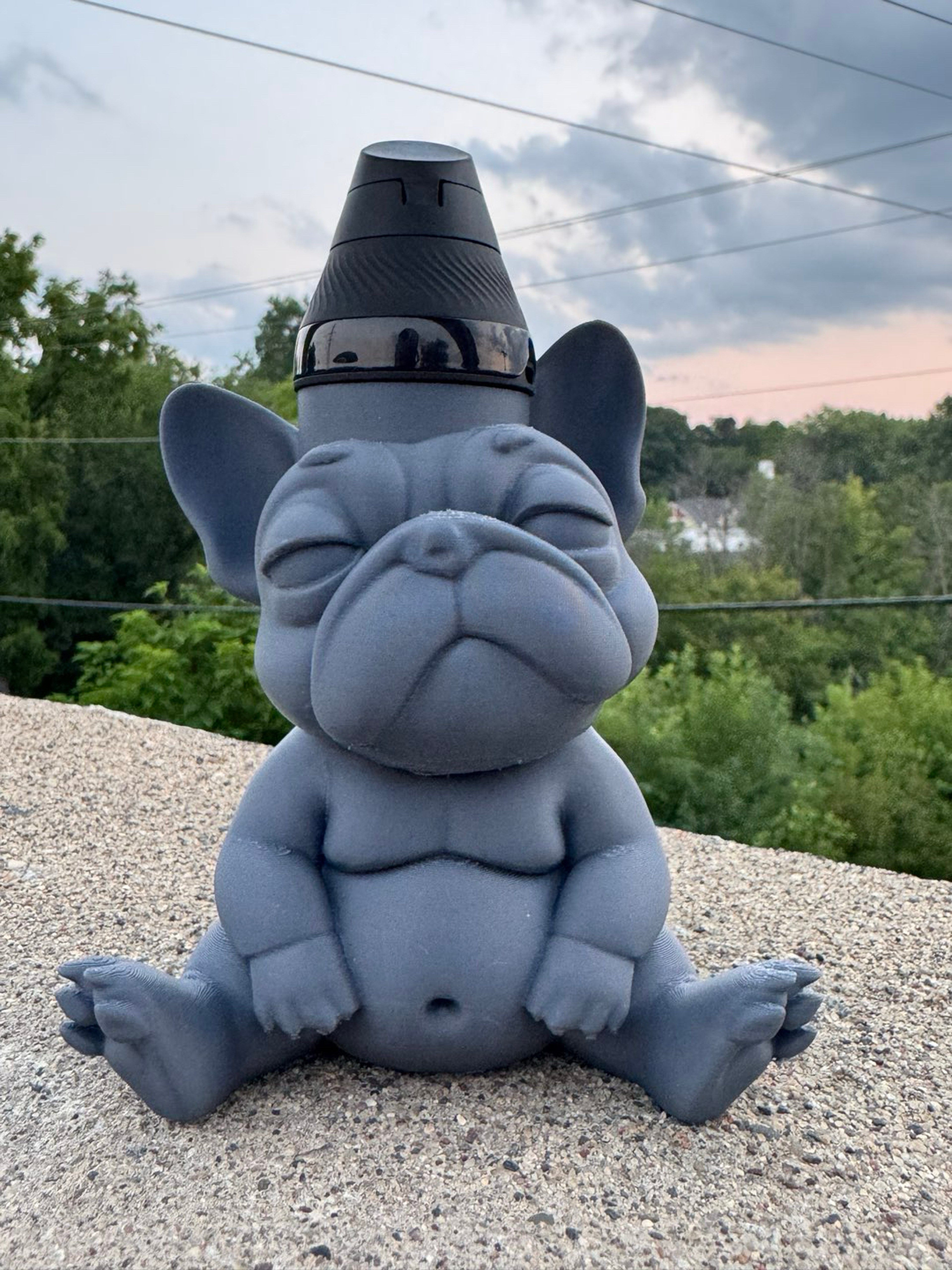 Preview pic of 3d printed Frenchie core for the puffco proxy core