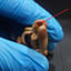 Small image 6