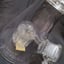 Small image 8
