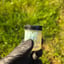 Small image 6
