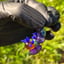 Small image 8