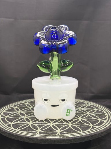 Preview pic of Hemper Bloom